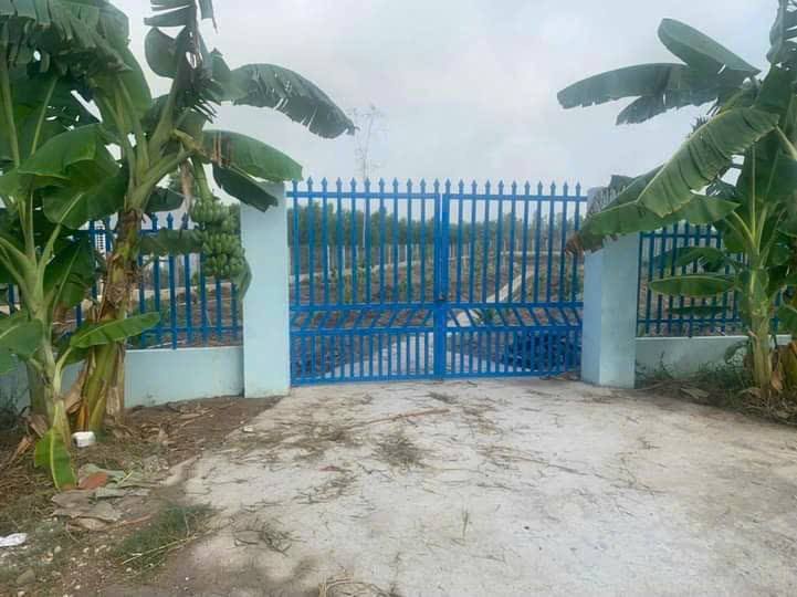 Khu nghỉ dưỡng mặt tiền lộ ôtô Thị trấn Châu Thành 2200m² giá 2.7 tỷ - Cơ hội đầu tư hấp dẫn!