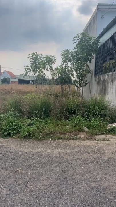 Đất thổ cư Trảng Bom 114m² giá 1 tỷ - Đầu tư sinh lời lý tưởng!