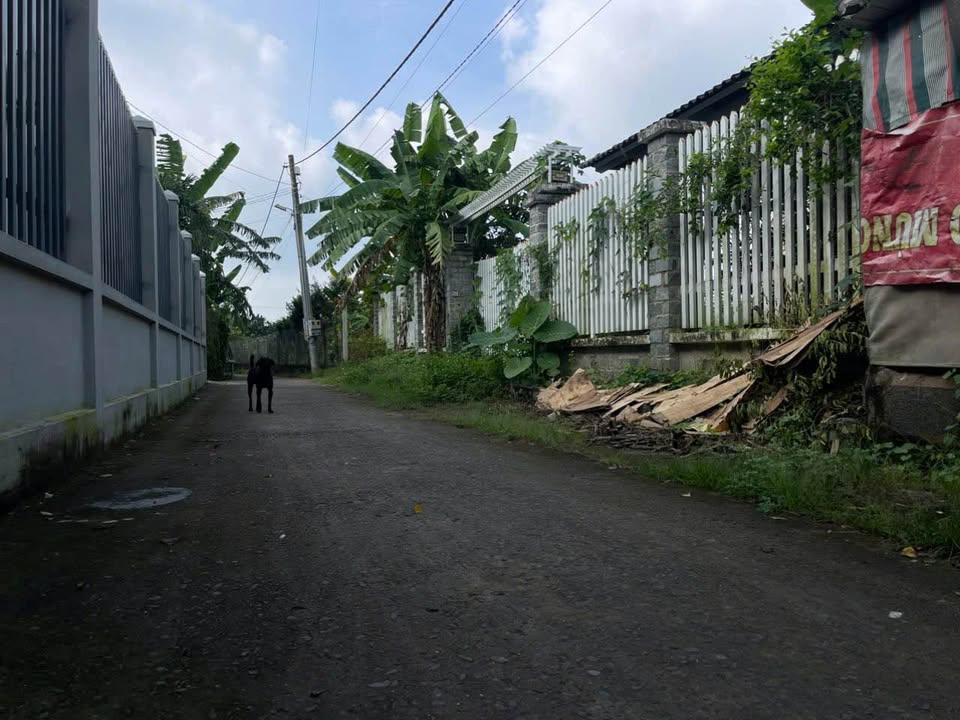 Đất nền nhà vườn xã Thạnh Phú 1000m² giá 6 tỷ - Xây dựng tự do!