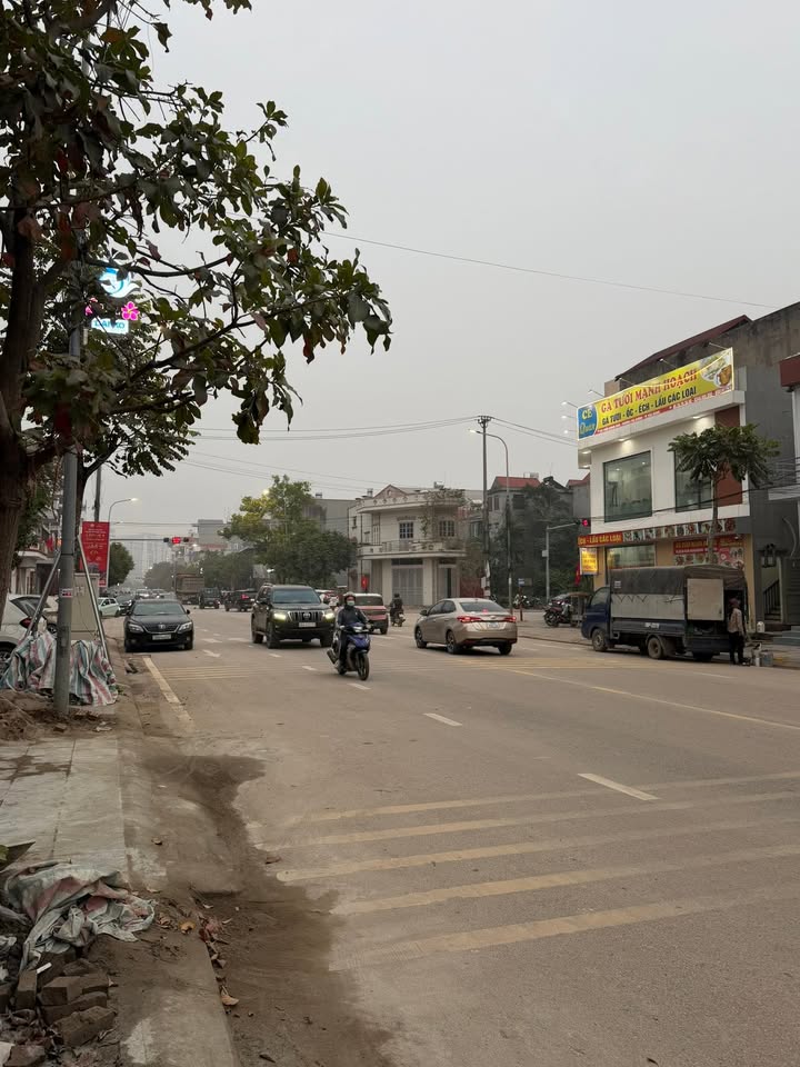 Đất chính chủ Trần Quang Khải, Bắc Giang, 85m² - Kinh doanh lý tưởng!