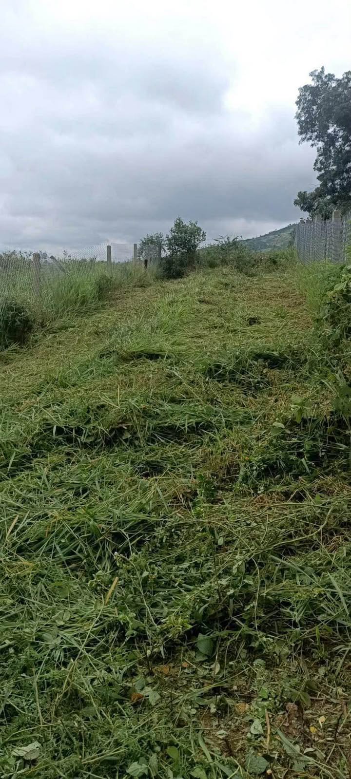 Đất nền hẻm 94 Tô Hiến Thành, Đà Lạt 100m² giá 820 triệu - Đường ô tô vào tận nơi!