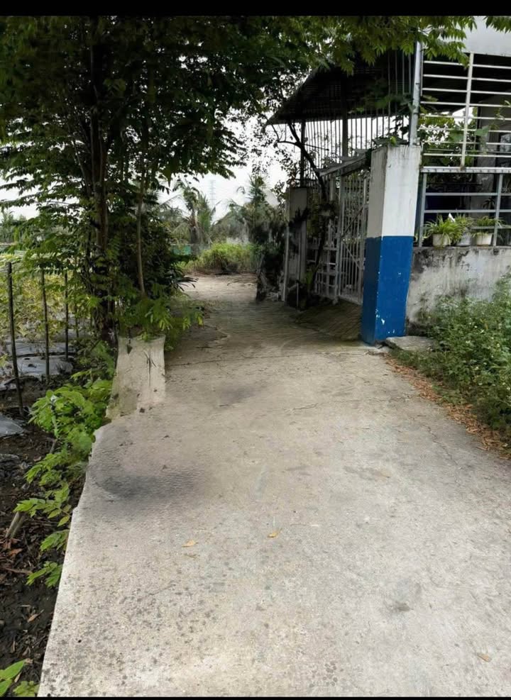 Lô đất Tân Hiệp, Dĩ An 165m² giá 1.55 tỷ - Cơ hội đầu tư tuyệt vời!