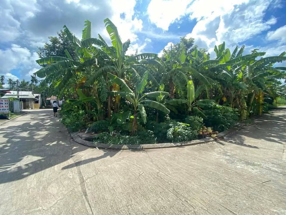 Đất nền góc 3 mặt tiền Khu TĐC Chợ Trường Long 230m² giá 1.8 tỷ - Đầu tư sinh lời cao!