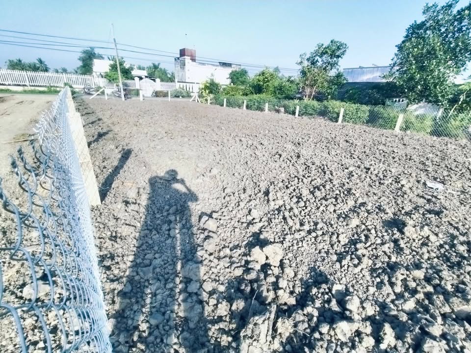 Đất nền 250m² tại Ấp Bình Lạc, Gò Công Tây giá 825 triệu - Đầu tư sinh lời dễ dàng!