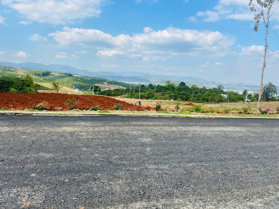 Đất nền tại Đường tỉnh DT725, Xã Bình Thạnh, 273m² giá chỉ 490 triệu - Sổ hồng chính chủ!