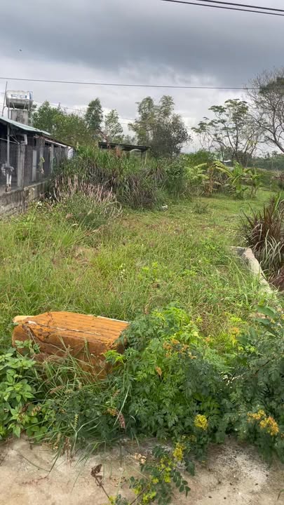 Đất thổ cư Hướng Nam 151m² Thôn Phú Lộc, Phú Hoà - Chính chủ bán gấp!