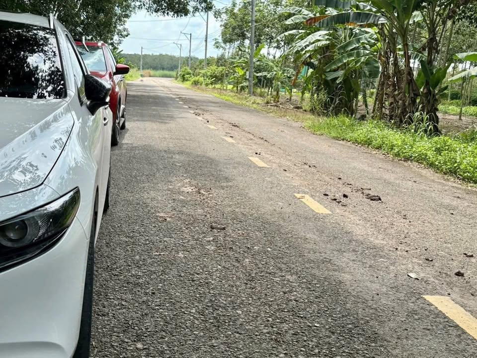 Đất farm 9,4 sào tại xã Phước Sang, Phú Giáo - Giá 4,5 tỷ, thích hợp làm kho, xưởng!