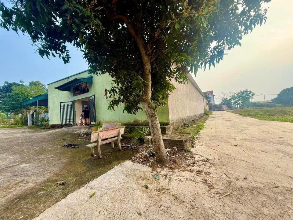 Đất 2 mặt tiền tại Hy Cương, 276m² - Đầu tư sinh lời ổn định!