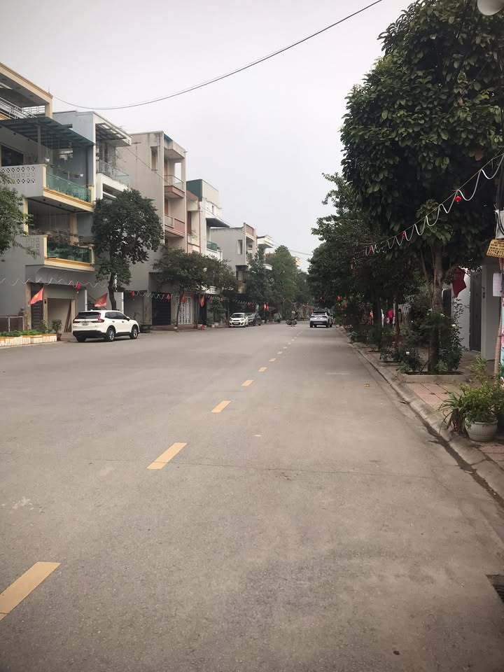 Đất phố Hoàng Quy Dữu, Việt Trì 90m² giá 400 tỷ - Vị trí đắc địa trung tâm!