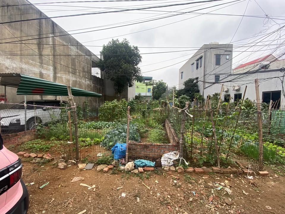 Đất 2 mặt tiền Phường Minh Phương 80m² giá chỉ 3 tỷ - Cơ hội đầu tư hiếm có!