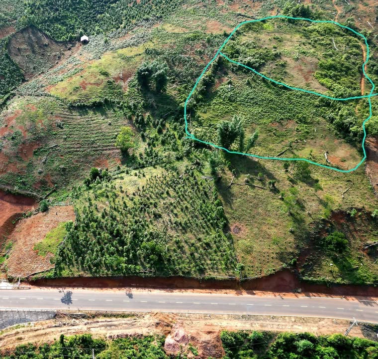 Đất nền Thị trấn Măng Đen 2160m² giá chỉ 1 tỷ - Sổ đỏ chính chủ, sang tên ngay!