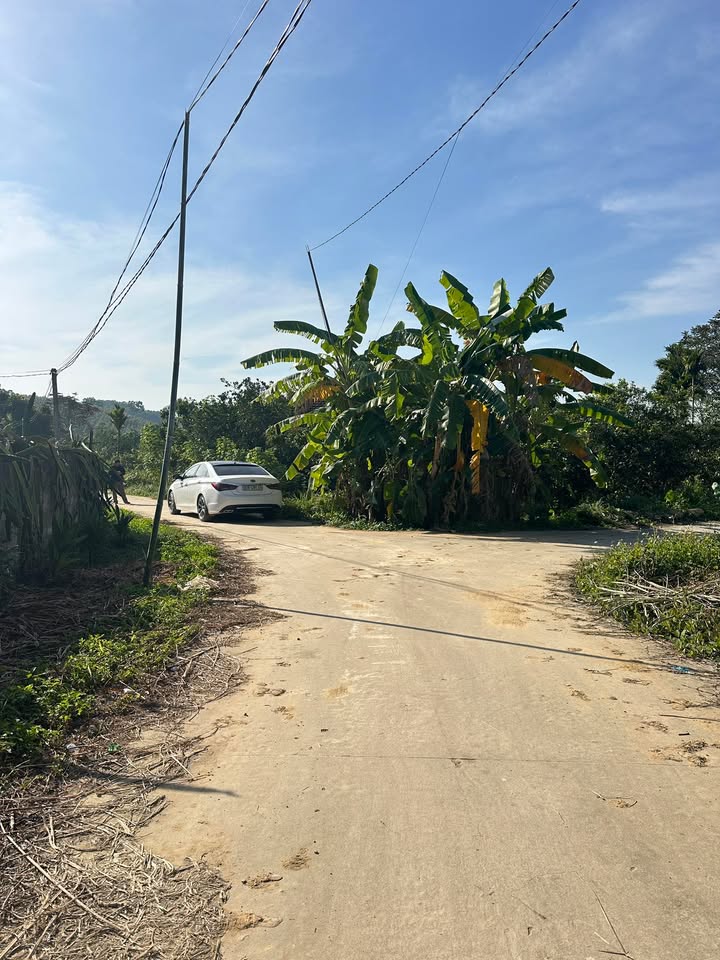 Đất nền Trại Hạ, Đồng Tiến, Yên Thế 319m² giá chỉ 300 triệu - Cơ hội đầu tư tuyệt vời!