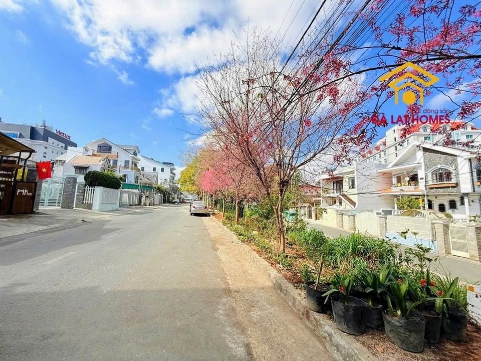 Đất nền biệt thự Đống Đa 376m² giá 23 tỷ - Cơ hội đầu tư tuyệt vời!