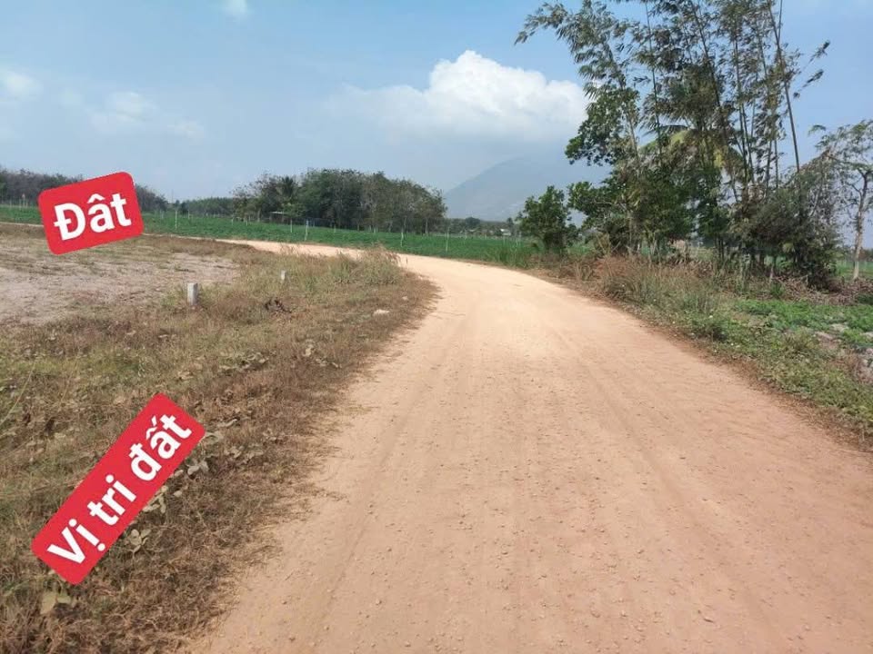 Đất nền Dương Minh Châu 175m² giá 330 triệu - Sổ hồng chính chủ