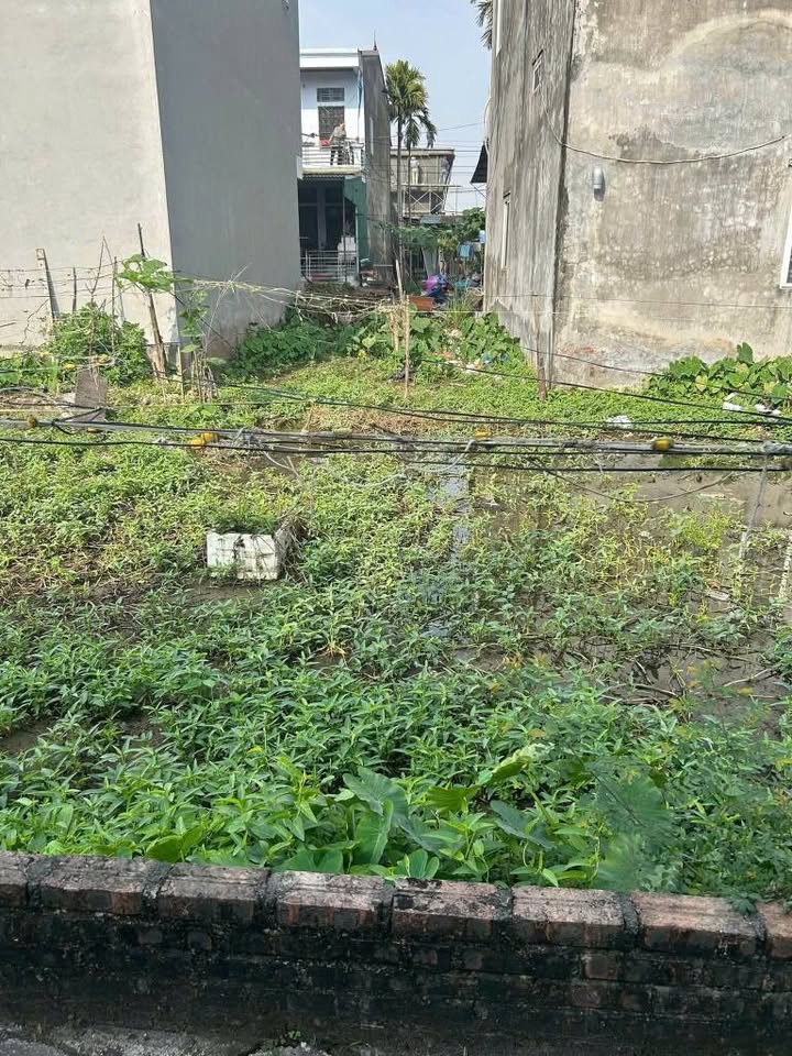 Căn hộ 41m² tại Cát Linh, Hải Dương giá 920 triệu - Cơ hội đầu tư hấp dẫn!