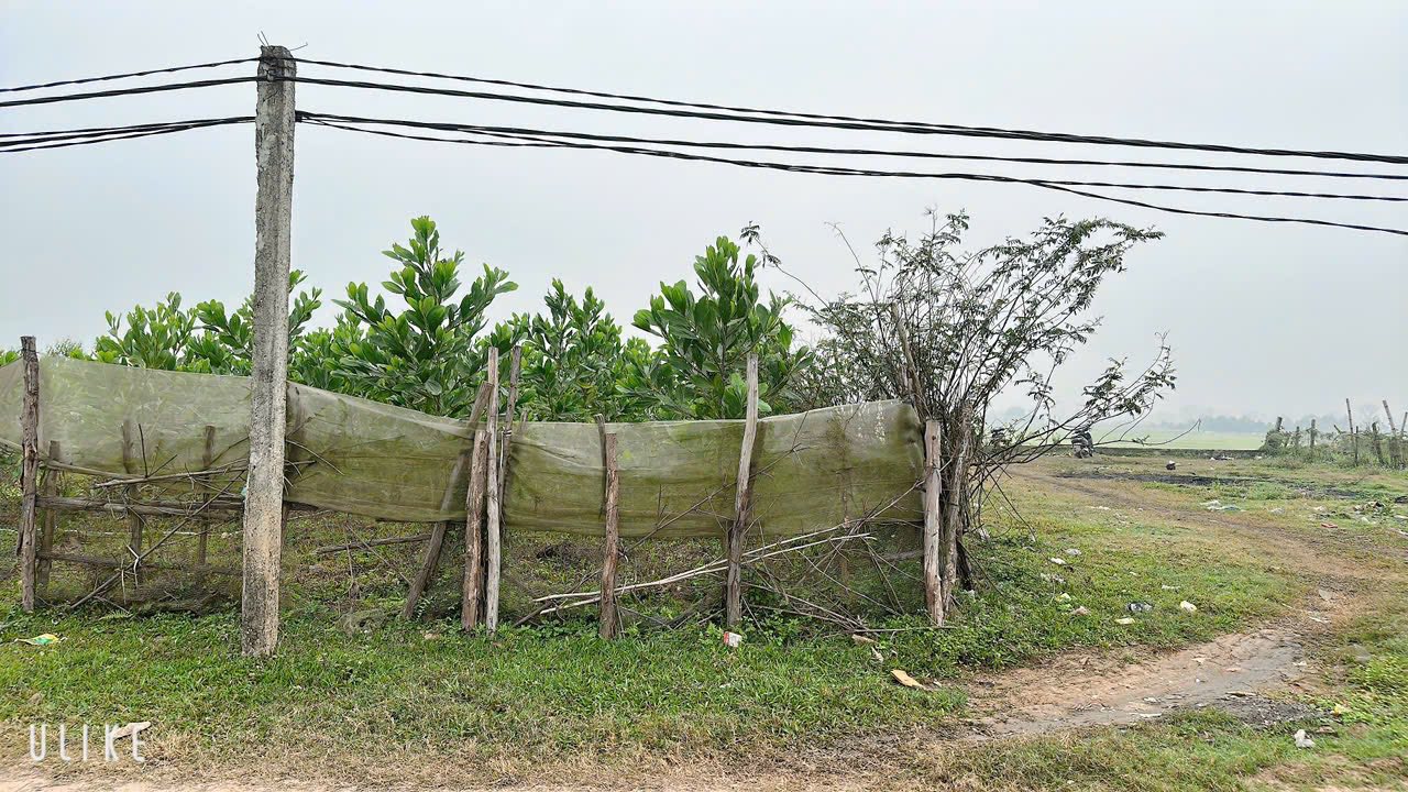 Đất nền Sơn Thủy, Thanh Thủy 150m² giá thỏa thuận - Đầu tư sinh lời ngay!