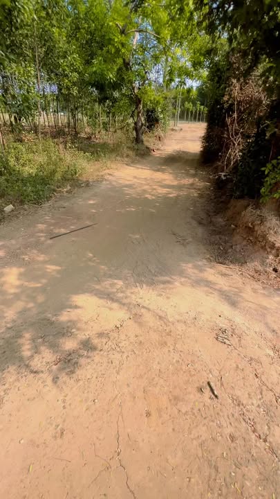 Đất nền Xã Xuân Trường 3236m² giá 1.8 tỷ - Sổ hồng riêng, mặt đường bê tông