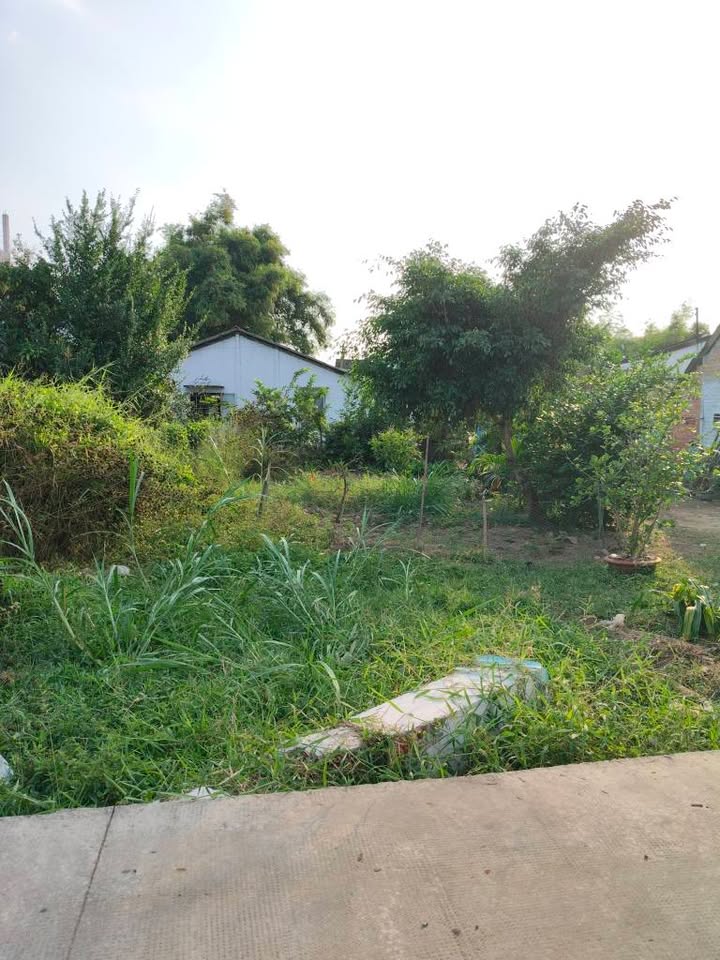 Đất thổ cư 128m² mặt tiền đường Thạch Ngọc Biên - Giá chỉ 650 triệu!