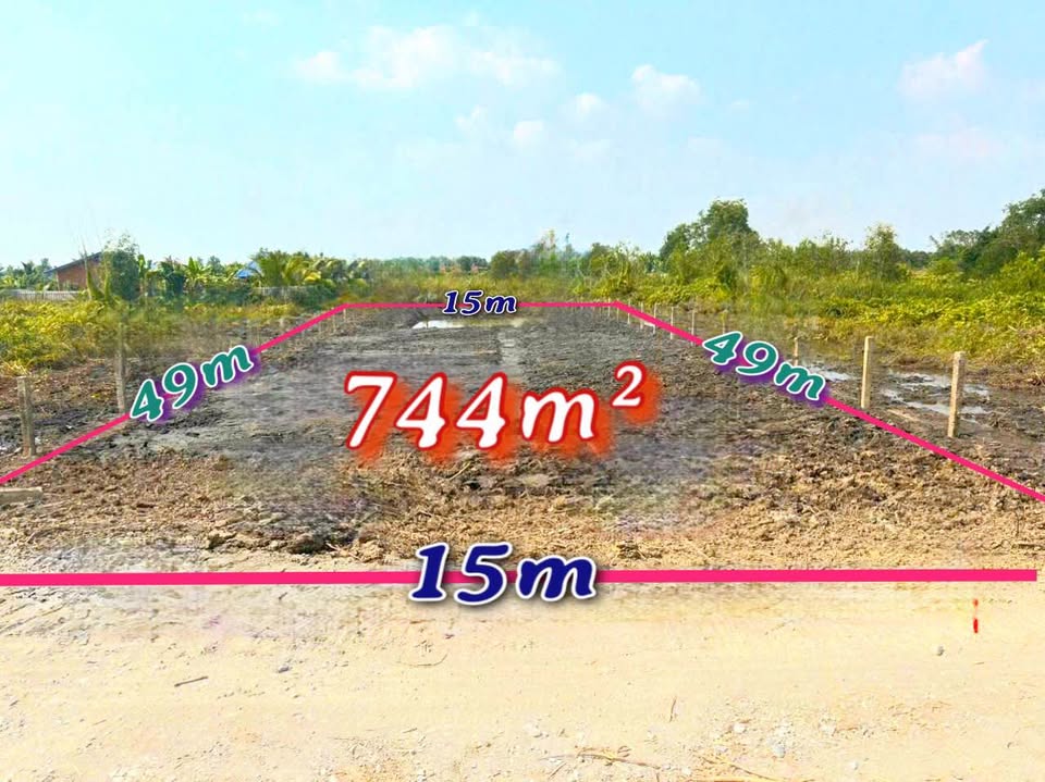 Đất vườn 744m² tại xã Tân Thành, Thủ Thừa - Giá chỉ 1.25 tỷ - Đầu tư sinh lời!