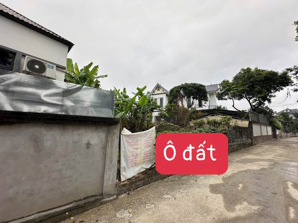 Đất nền thôn Láng, Xã Đạo Tú, Huyện Tam Dương, 100.6m² - Đầu tư sinh lời ngay!
