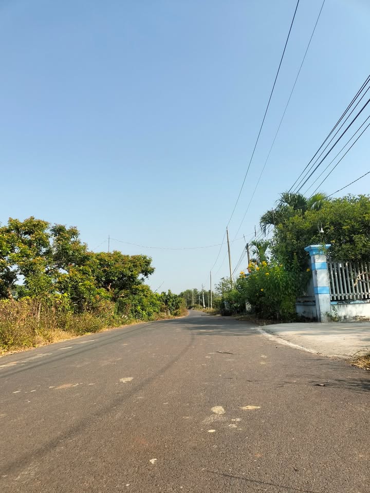 Đất nền Xuyên Mộc 1.700m² giá chỉ 3.825 tỷ - Đầu tư sinh lời ngay!