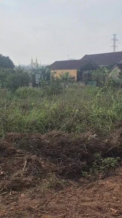 Đất nền Nam Hưng, huyện Nam Đàn, 200m² giá chỉ 6xx triệu – Cơ hội đầu tư tuyệt vời!