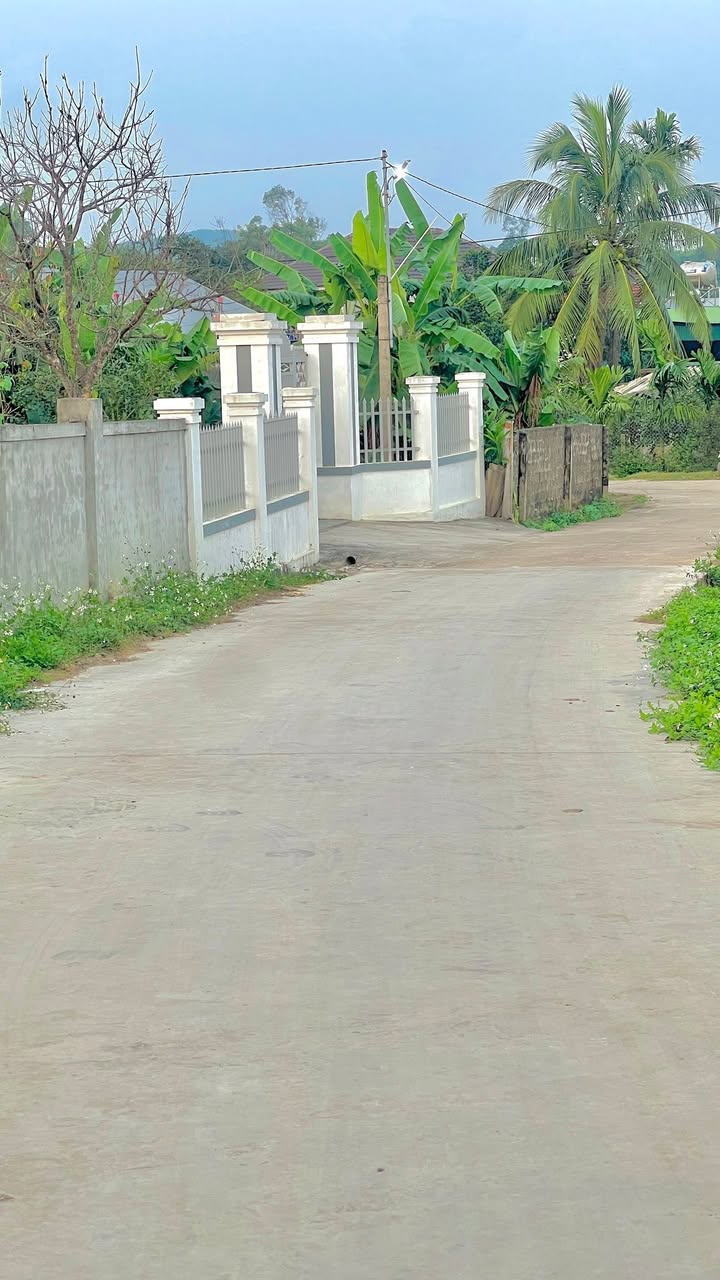 Đất thổ cư Xóm 2 Minh Thành 200m² giá chỉ 600 triệu - Cơ hội đầu tư tuyệt vời!