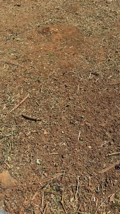 Đất nền liền kề Thị trấn Phước An 940m² giá chỉ 400 triệu - Cơ hội đầu tư tuyệt vời!