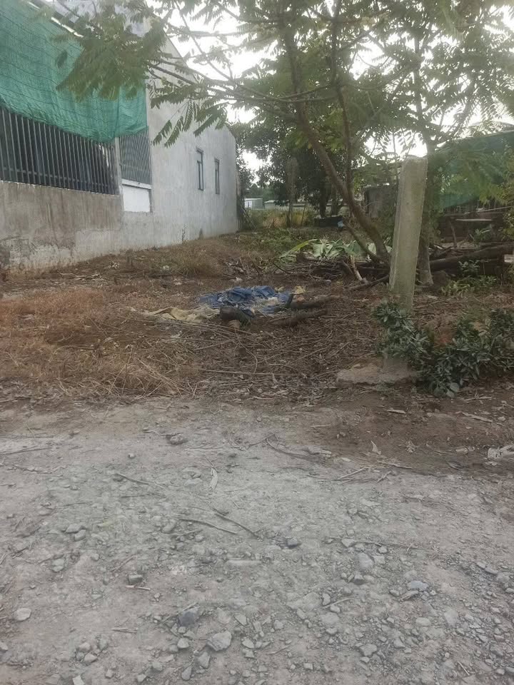 Đất vườn xã Thạnh Lợi, Bến Lức 625m² giá 1.5 tỷ - Tiềm năng kinh doanh lớn!