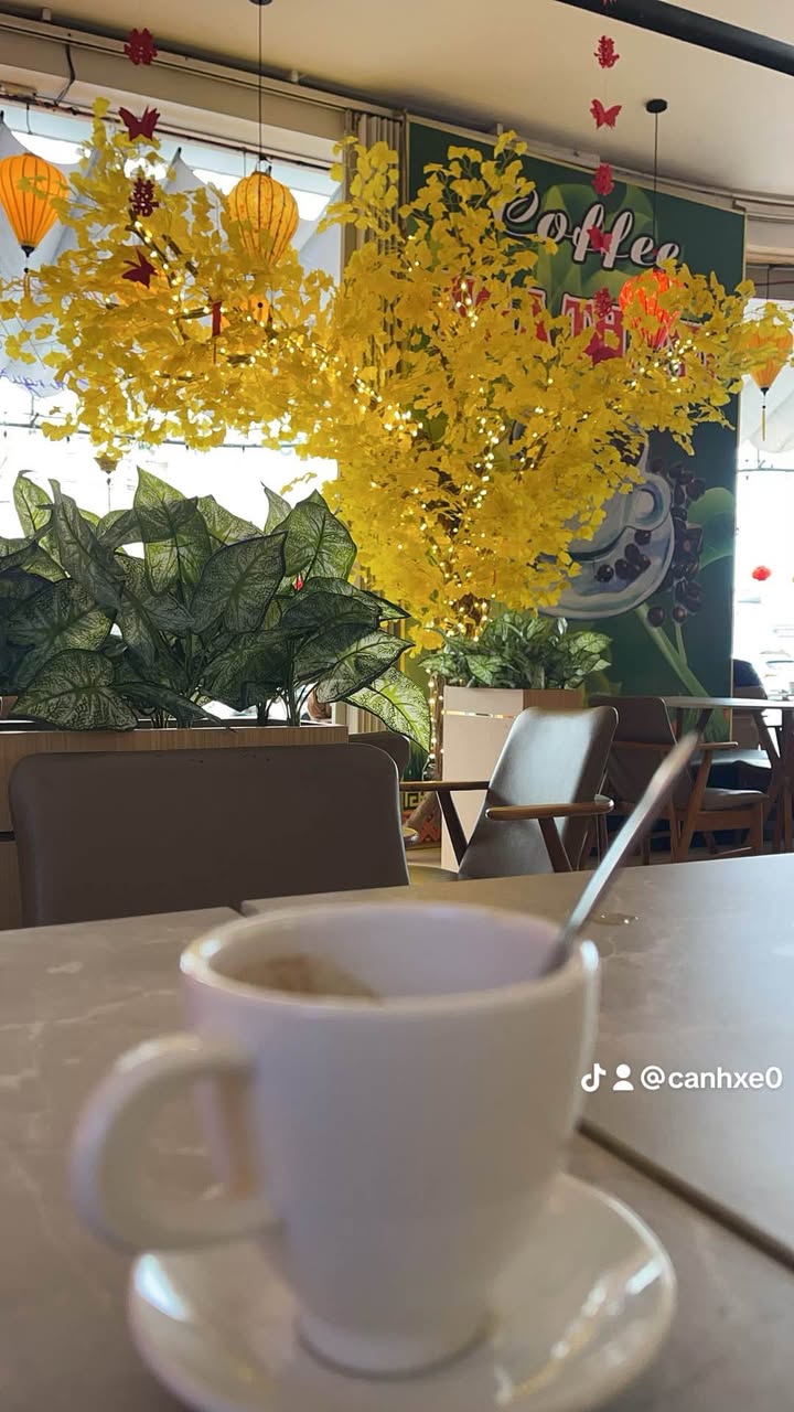 Đất mặt tiền Điện Phương, Điện Bàn 180m² - Đầu tư sinh lời ngay!