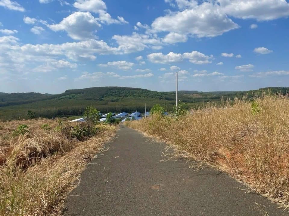 Đất nền Tân Lợi - Huyện Đồng Phú - 1100m² chỉ 160 triệu - Cơ hội đầu tư tuyệt vời!