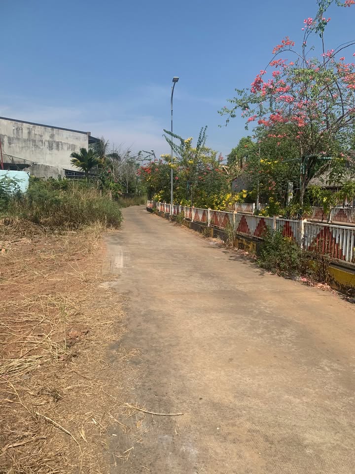 Đất thổ cư 2 mặt tiền đường Tân Xuân, 451m² giá 1.7 tỷ - Đầu tư sinh lời ngay!