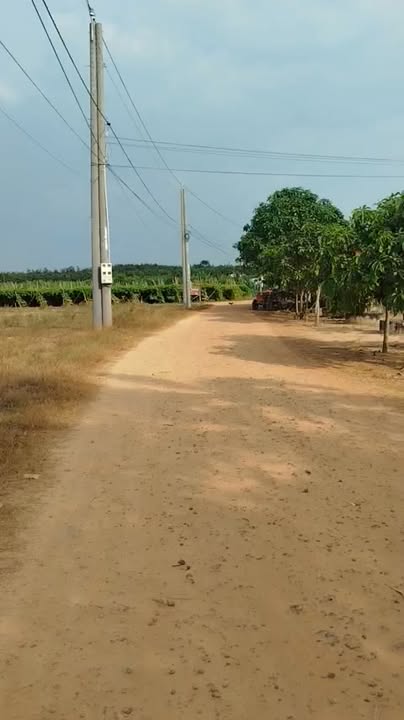 Đất nền ấp Bến Cừ, xã Ninh Điền, 1000m² giá chỉ 25 tỷ - Cơ hội đầu tư hấp dẫn!