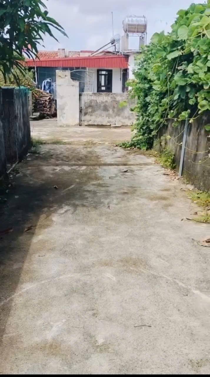 Đất thổ cư 100% tại Xóm Cường Tiến, Nghĩa Lâm, 262m² chỉ 470 triệu - Bán gấp!