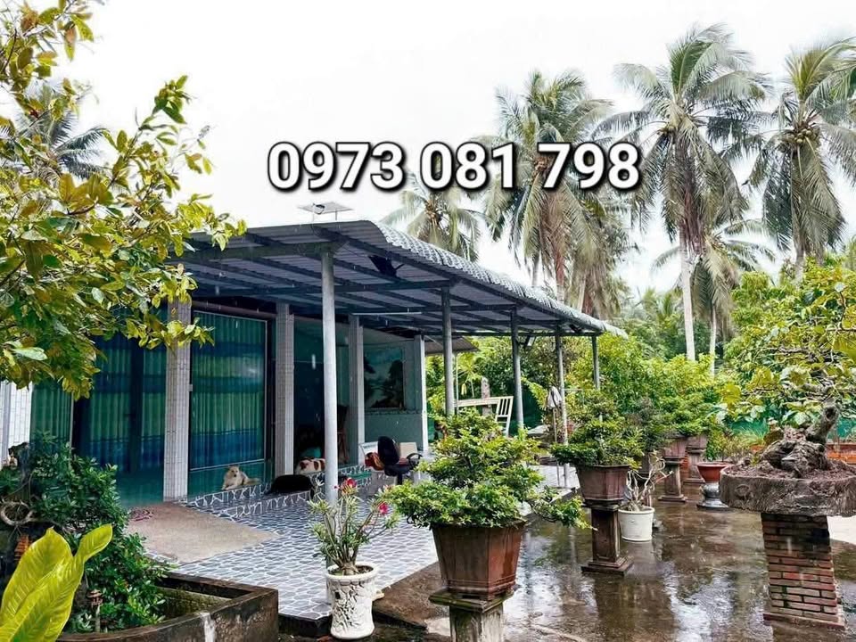 Bán đất và nhà Ấp Phong, Thạnh Phú, Bến Tre 1,3 tỷ - Diện tích rộng rãi, chính chủ!