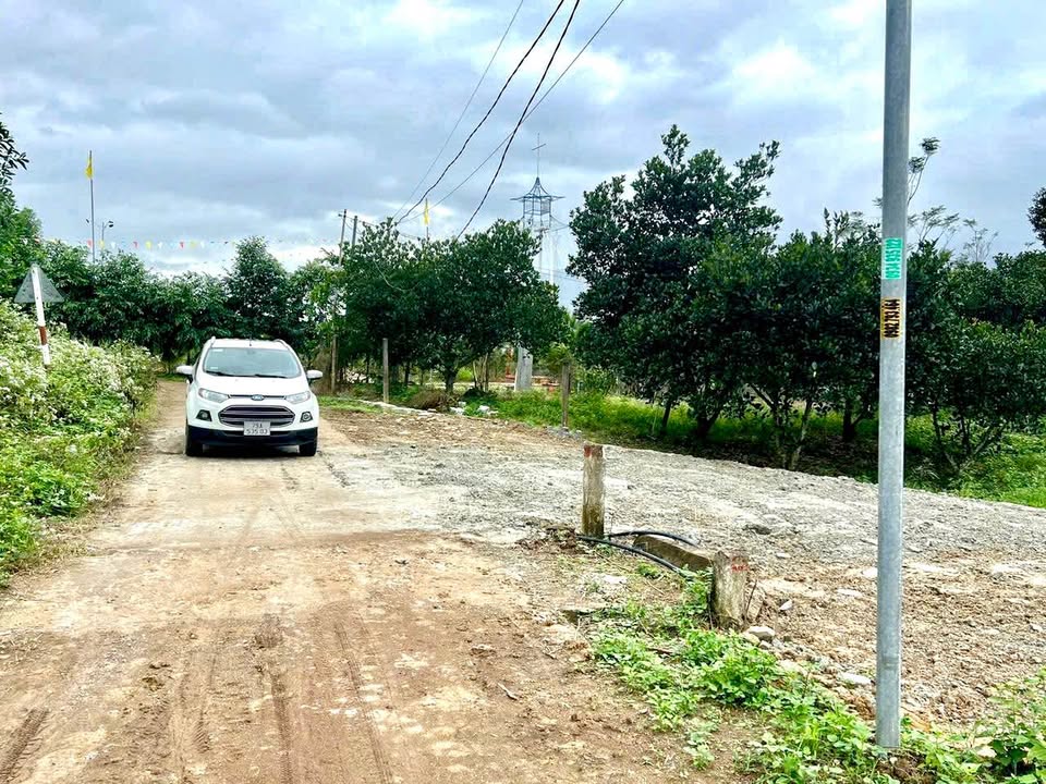 Lô đất Diên Tân - Diên Khánh 100m² giá chỉ 299 triệu - Cơ hội đầu tư tuyệt vời!