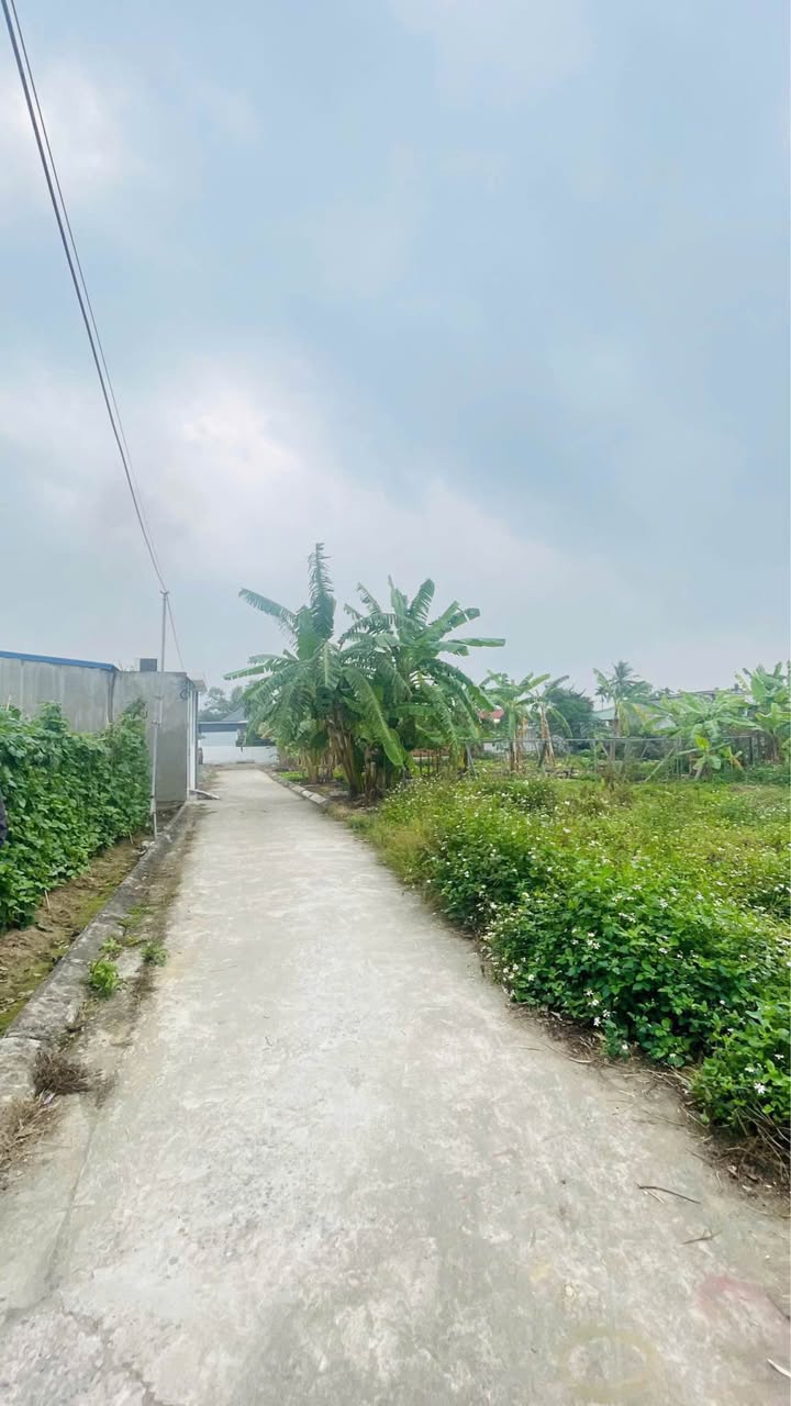 Đất nền 67m² tại ngõ 456 Quốc Tuấn - Giá chỉ 790 triệu, ô tô vào tận nơi!