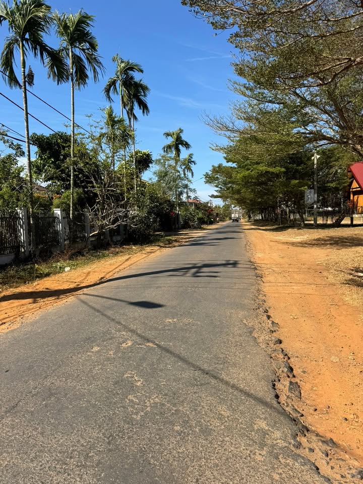 Đất mặt tiền Nguyễn Xuân Nguyên, Buôn Ma Thuột 145m² giá 3 tỷ - Đầu tư sinh lời ngay!