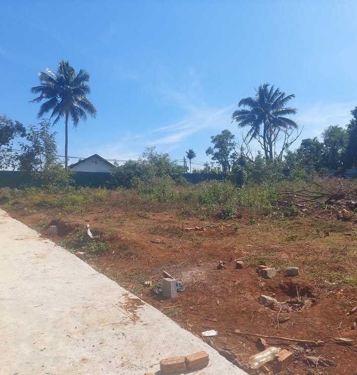 Đất thổ cư tại Xã Ea Tiêu, Huyện Cư Kuin 200m² chỉ 19.8 tỷ - Đường bê tông thông thoáng!