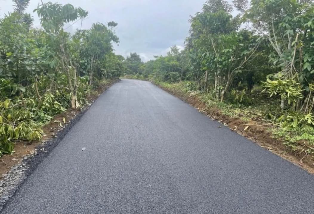 Đất thổ cư 100m² tại Tân Lạc, Bảo Lâm 2880m² giá 2.15 tỷ - Đường nhựa ô tô vào tận nơi!