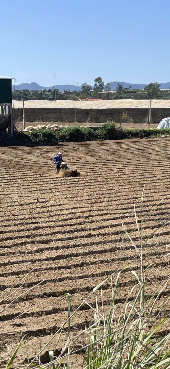 Đất sào xã Lạc Lâm - 3720m² chỉ 1.65 tỷ - Đầy đủ điện nước, gần khu dân cư!