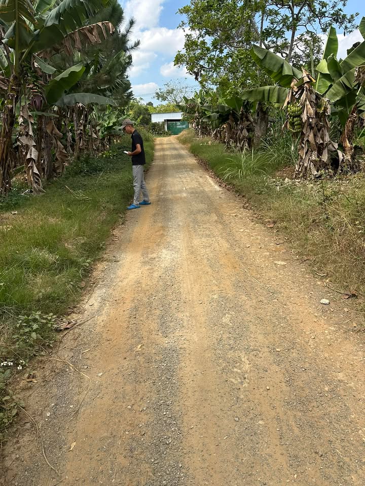 Đất thổ cư Xã Lộc Đức 600m² giá 750 triệu - Xây dựng tự do, ô tô vào tận nơi!