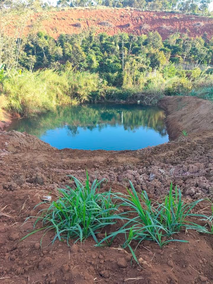 Lô đất rẫy 3240m² tại TDP Nghĩa Tín - Giá thương lượng hấp dẫn!