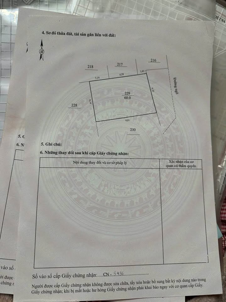 Đất nền Lương Văn Tri 60m² giá 700 triệu - Lô góc 2 mặt tiền thoáng đãng!