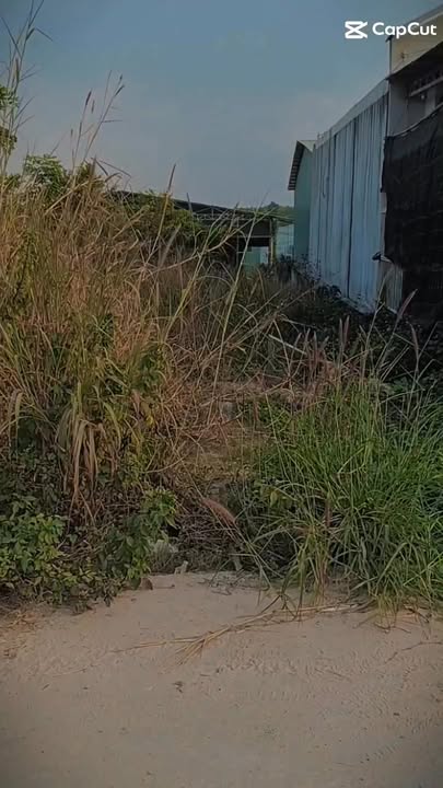 Đất nền Lai Hưng, Bàu Bàng 250m² giá 1 tỷ - Cần bán gấp!