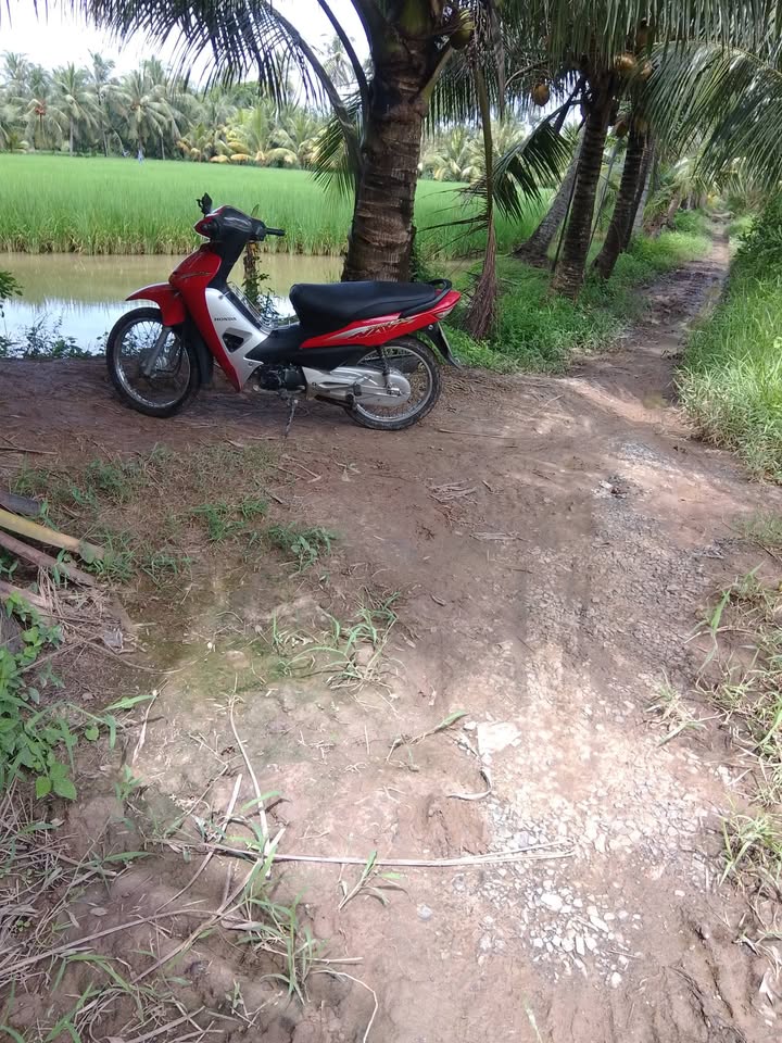 Đất ruộng 9000m² tại Kim Sơn, Trà Cú chỉ 722.5 triệu - Cơ hội đầu tư hấp dẫn!