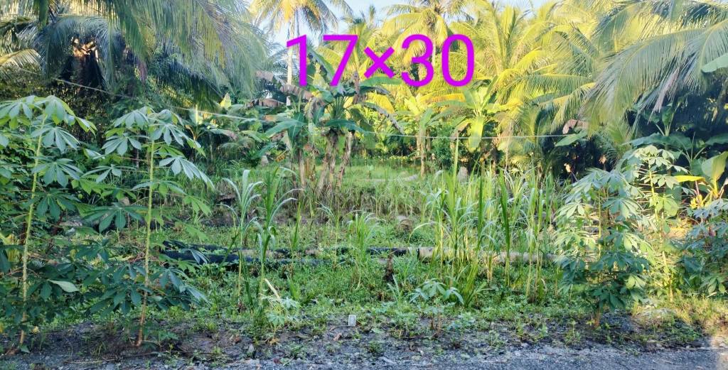 Đất nền Ấp Bưng Lớn A, Xã Tam Ngãi, 510m² giá 26.52 tỷ - Đầu tư sinh lời hấp dẫn!