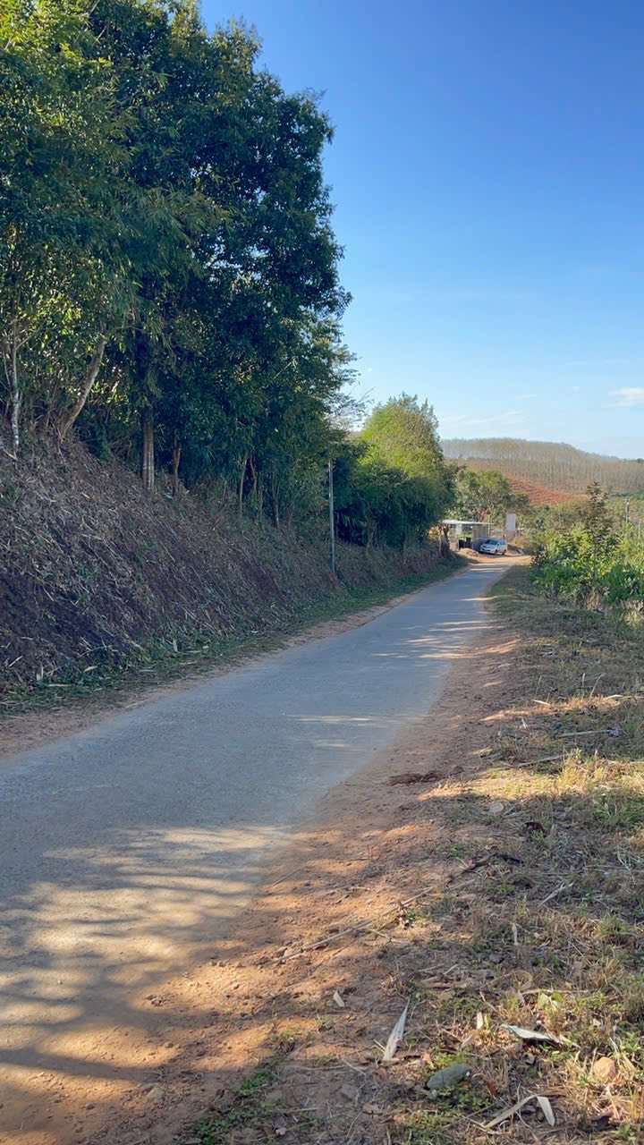 Đất nền Huyện Sa Thầy 21600m² giá 216 triệu - Cơ hội đầu tư tuyệt vời!