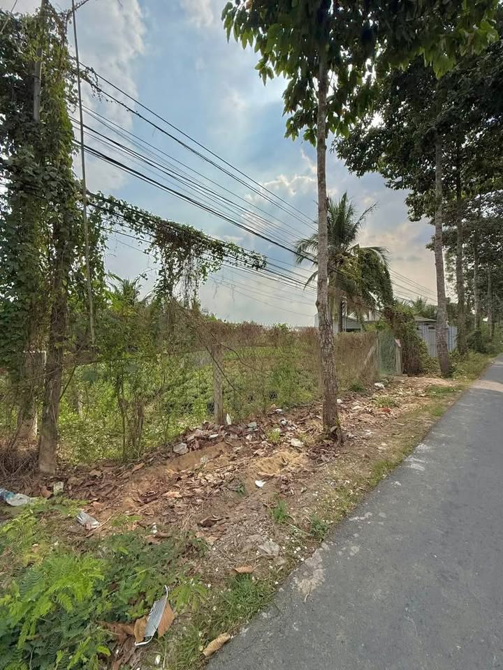 Đất nền mặt tiền đường Huyện 89, Mỹ Tho 215m² giá 2 tỷ - Vị trí kinh doanh đắc địa!