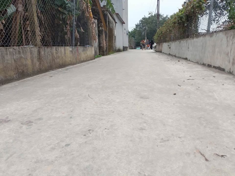 Đất thổ cư tại xã Quảng Đức, Thanh Hóa 100m² giá 800 triệu - Đầu tư sinh lời lý tưởng!